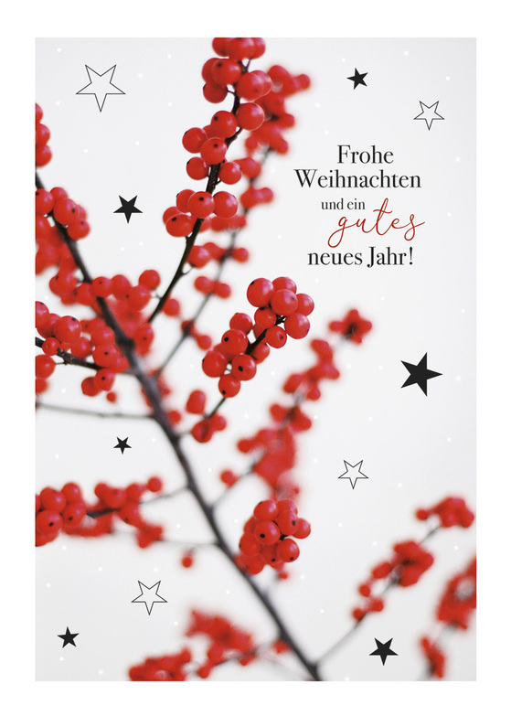 Weihnachtskarte: Moderne Zweige in Rot und Schwarz