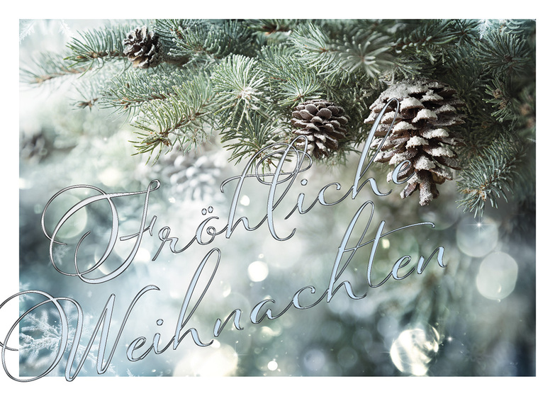 Weihnachtskarte: Schwungschrift auf Zweigen