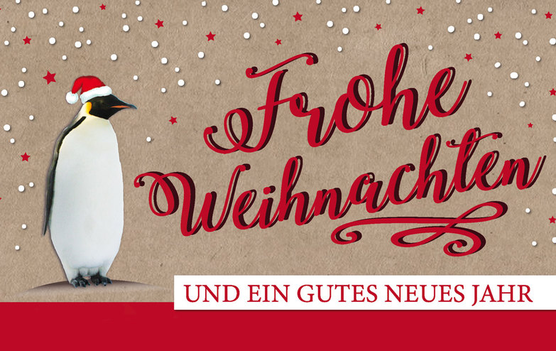 Humor - Weihnachtskarten Online Kollektion 2019 | Kallos Verlag